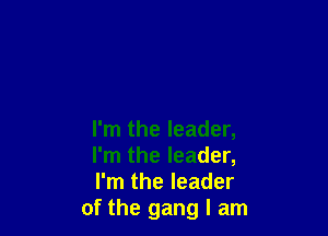I'm the leader,

I'm the leader,

I'm the leader
of the gang I am