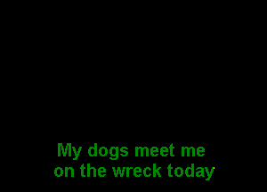 My dogs meet me
on the wreck today