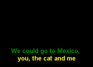 We could go to Mexico,
you, the cat and me
