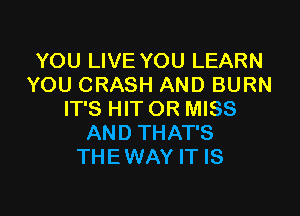 YOU LIVE YOU LEARN
YOU CRASH AND BURN

IT'S HIT OR MISS
AND THAT'S
THEWAY IT IS