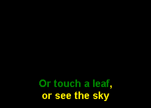 Or touch a leaf,
or see the sky