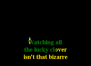 VWatching all
the lucky clover
isn't that bizarre