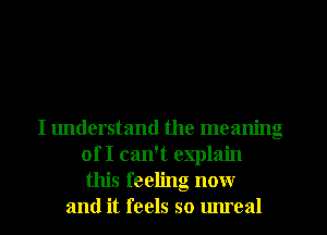 I understand the meaning
of I can't explain
this feeling now
and it feels so unreal
