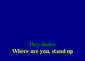 Hey dudes
Where are you, stand up