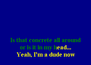 Is that concrete all around
or is it in my head...
Yeah, I'm a dude now