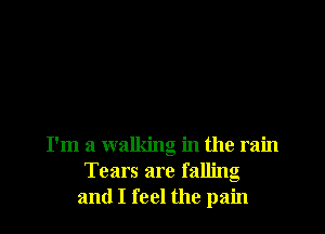 I'm a walking in the rain
Tears are falling
and I feel the pain