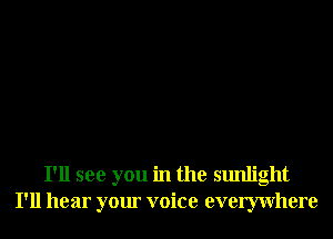 I'll see you in the sunlight
I'll hear your voice evemvhere