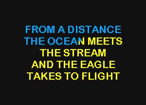 FROM A DISTANCE
THE 00 EAN MEETS
THE STREAM
AND THE EAGLE
TAKES TO FLIGHT

g