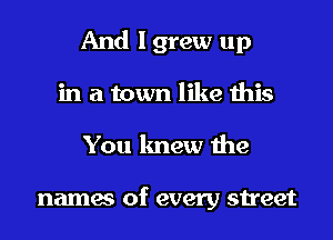 And I grew up
in a town like this
You knew the

names of every street