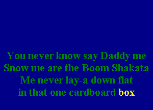 You never knowr say Daddy me
Snowr me are the Boom Shakata
Me never lay-a down Hat
in that one cardboard box