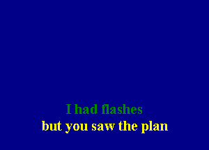 I had flashes
but you saw the plan