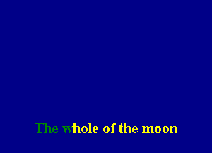 The whole of the moon