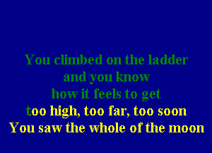 You climbed on the ladder
and you knowr
hour it feels to get
too high, too far, too soon
You saw the Whole of the moon