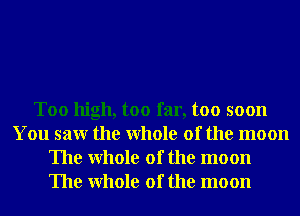 Too high, too far, too soon
You saw the Whole of the moon
The Whole of the moon
The Whole of the moon