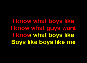 I know what boys like
I know what guys want

I know what boys like
Boys like boys like me