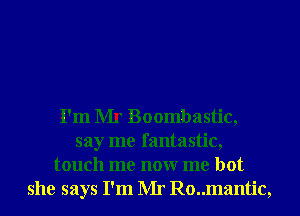 I'm Mr Boombastic,
say me fantastic,
touch me nonr me hot
she says I'm Mr Ro..mantic,