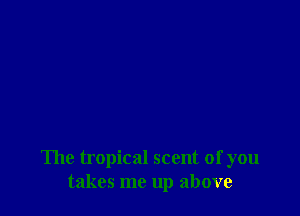 The tropical scent of you
takes me up above