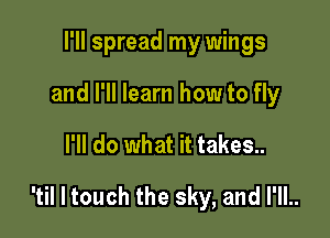 I'll spread my wings
and I'll learn how to fly

I'll do what it takes..

'til I touch the sky, and I'll..