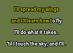 I'll spread my wings
and I'll learn how to fly

I'll do what it takes..

'til I touch the sky, and I'll..