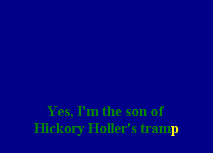 Yes, I'm the son of
Hickory Holler's tramp