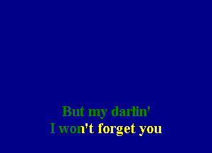 But my darlin'
I won't forget you