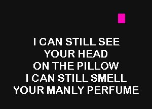 I CAN STILL SEE
YOUR HEAD

ON THE PILLOW
I CAN STILL SMELL
YOUR MANLY PERFUME