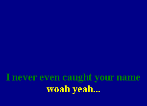 I never even caught your name
woah yeah...