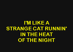 I'M LIKEA

STRANGECAT RUNNIN'
INTHE HEAT
OF THENIGHT