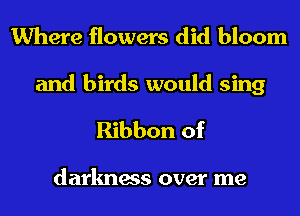 Where flowers did bloom
and birds would sing
Ribbon of

darkness over me