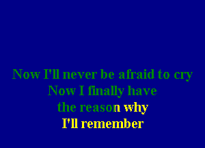 Now I'll never be afraid to cry
Now I finally have
the reason why
I'll remember