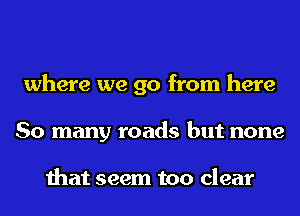 where we go from here
So many roads but none

that seem too clear