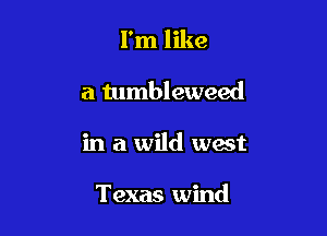 I'm like
a tumbleweed

in a wild west

Texas wind
