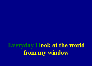 Everyday I look at the world
from my window