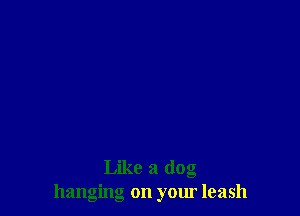 Like a dog
hanging on your leash