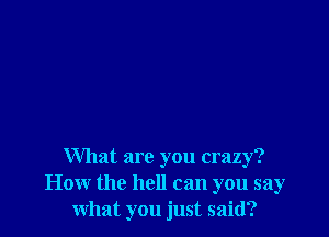 What are you crazy?
How the hell can you say
what you just said?