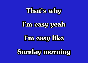 That's why
I'm easy yeah

I'm easy like

Sunday morning