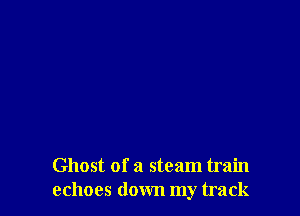 Ghost of a steam train
echoes down my track