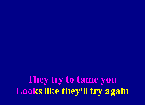 They try to tame you
Looks like they'll tly again