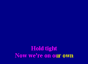 Hold tight
Now we're on our own