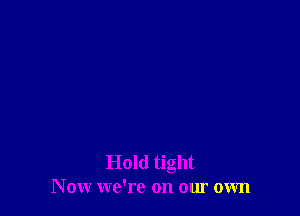 Hold tight
Now we're on our own