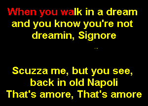 When you walk in a dream
and you know you're not
dreamin, Signore

Scuzza me, but you see,
back in old Napoli
That's amore, That's amore