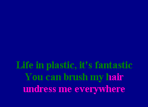 Life in plastic, it's fantastic
You can brush my hair
undress me evemvhere