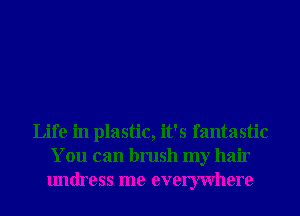 Life in plastic, it's fantastic
You can brush my hair
undress me evemvhere