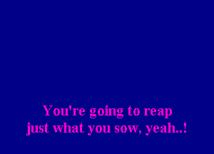 You're going to reap
just what you sow, yeah..!