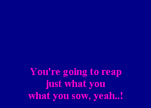 You're going to reap
just what you
what you sow, yeah..!