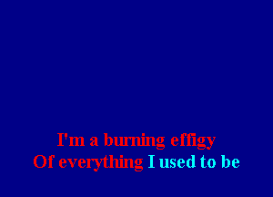 I'm a burning effigy
0f evelything I used to be
