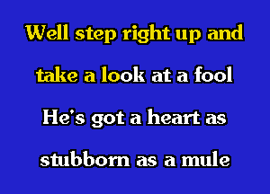 Well step right up and
take a look at a fool
He's got a heart as

stubborn as a mule