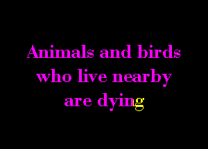 Animals and birds

who live nearby

are dying