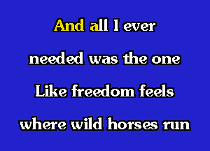 And all I ever
needed was the one
Like freedom feels

where wild horses run