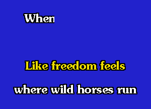 Like freedom feels

where wild horses run